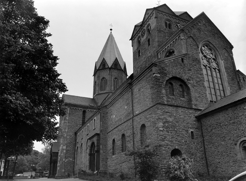 DSC 2262b