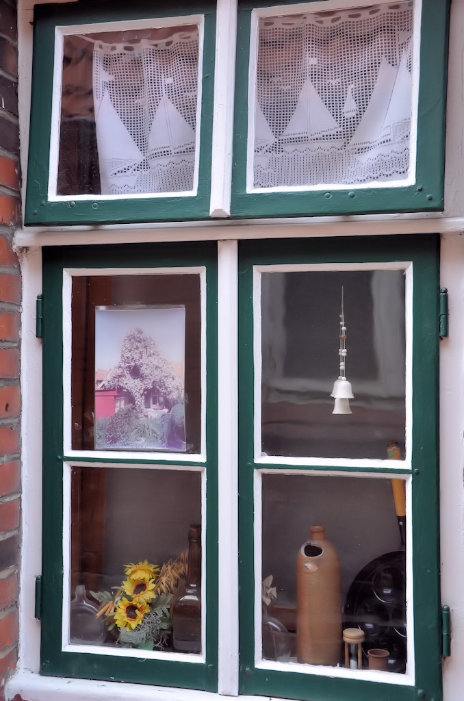 DSC 2278 Fenster