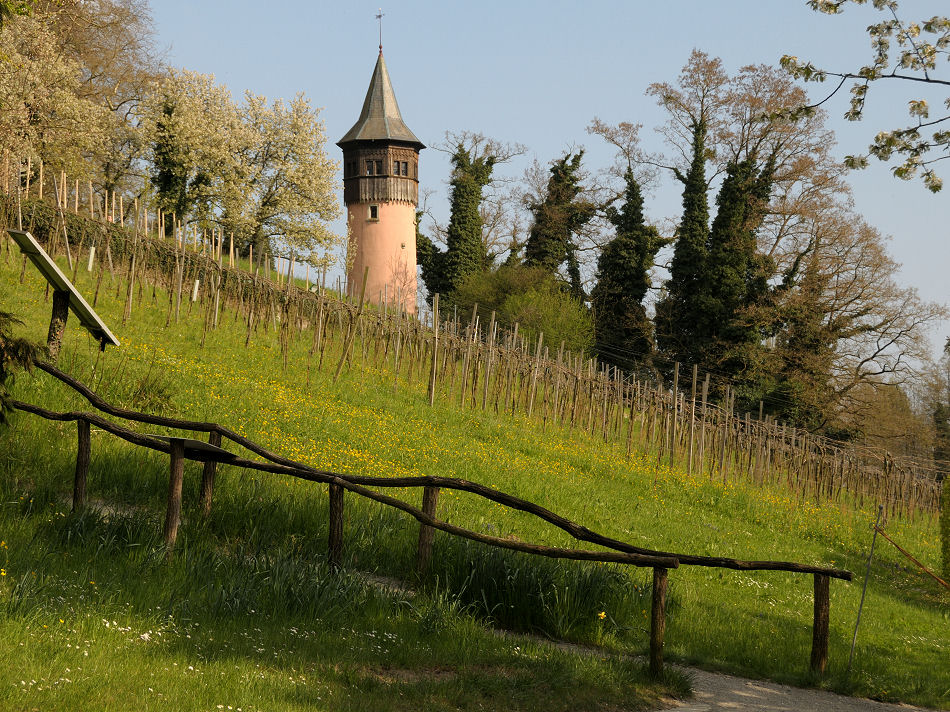 DSC 2280 Turm 3Forum