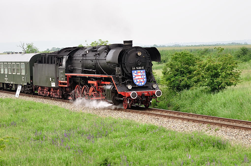 DSC 2319 44 1486 8
