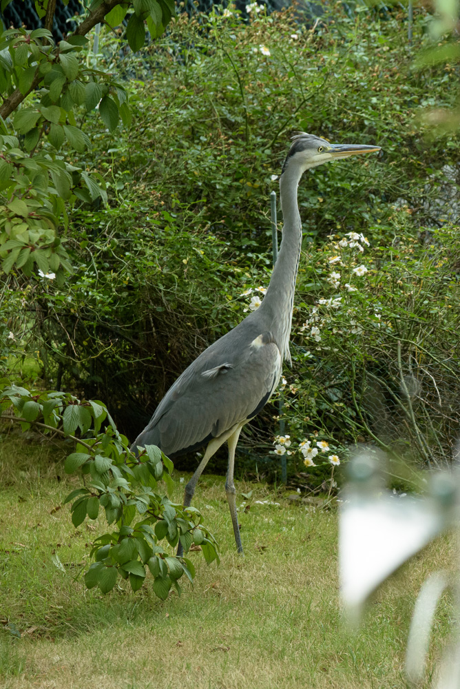DSC 2324