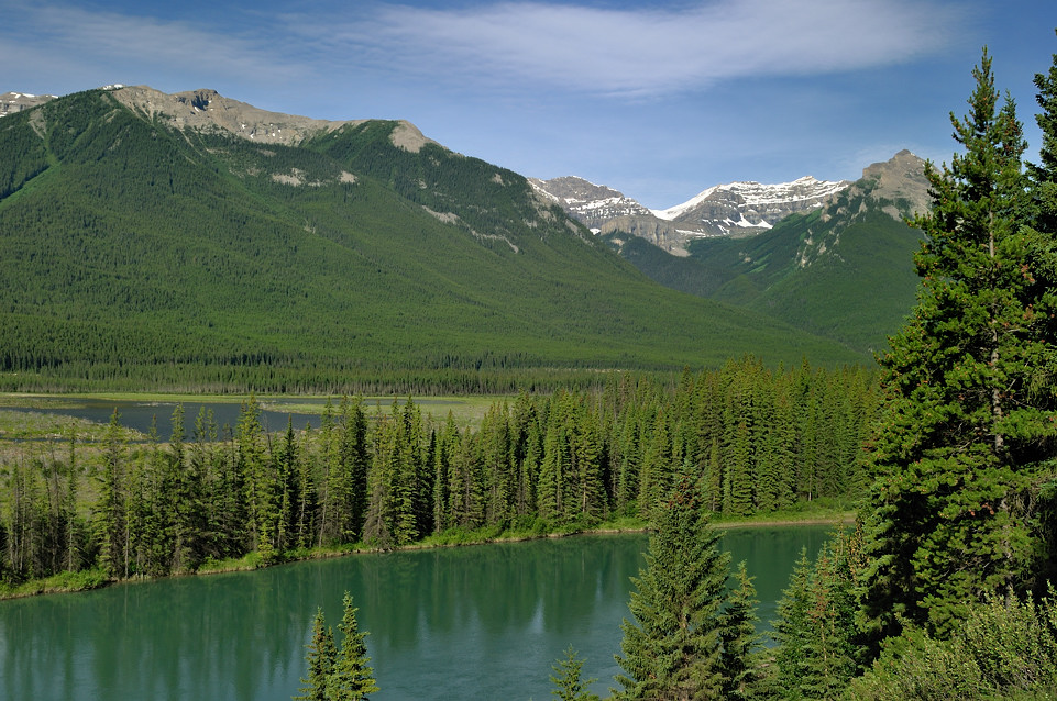 DSC 2335 NF-F
Bow River
Banff NP