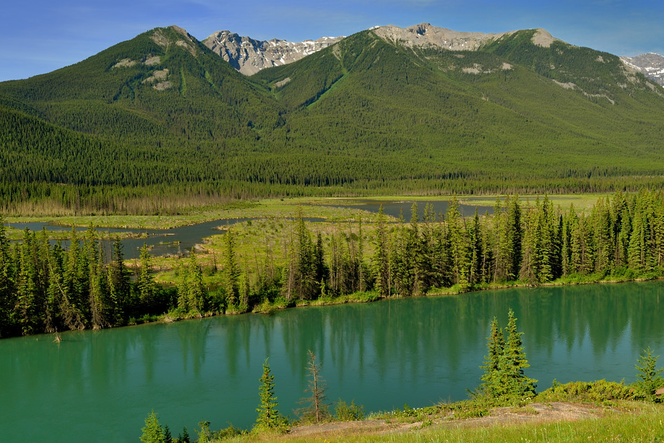 DSC 2336 NF-F
Bow River
Banff NP