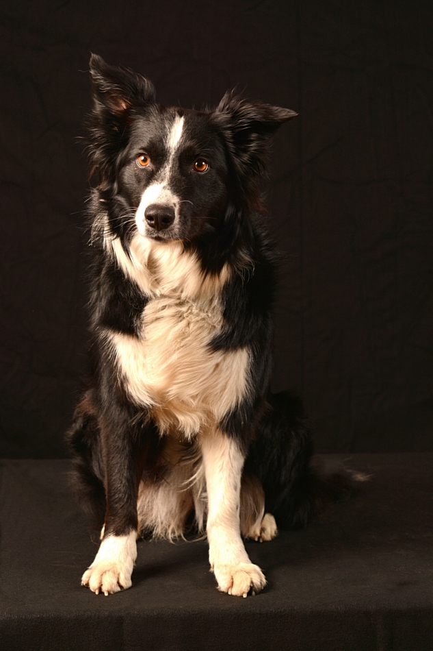 DSC 2352