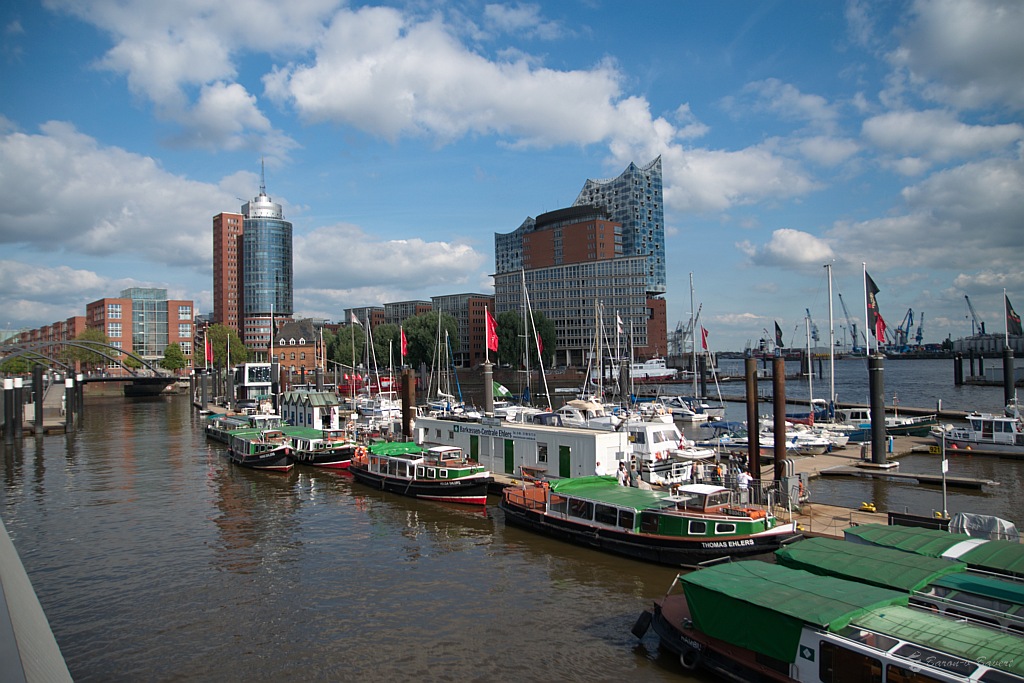 DSC 2360