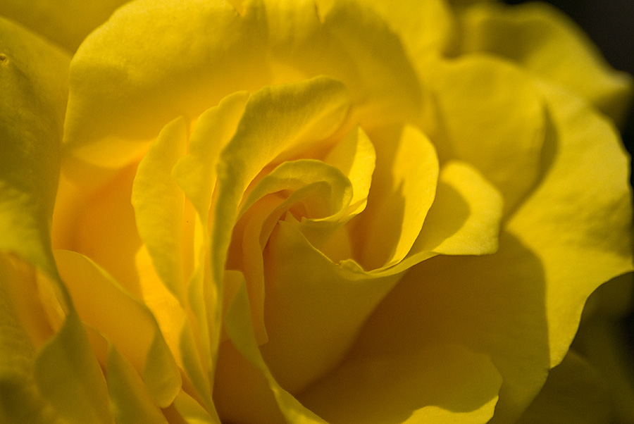 DSC 2367aa