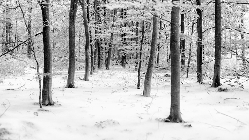 DSC 2374 Bearbeitet
