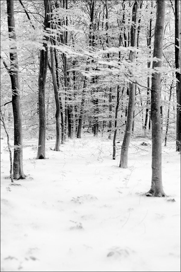 DSC 2375 Bearbeitet
