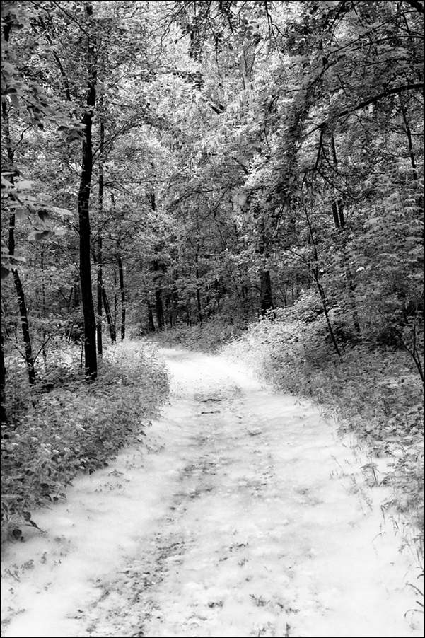 DSC 2377 Bearbeitet