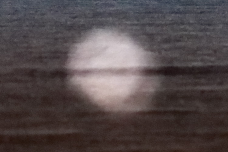 DSC 2378a