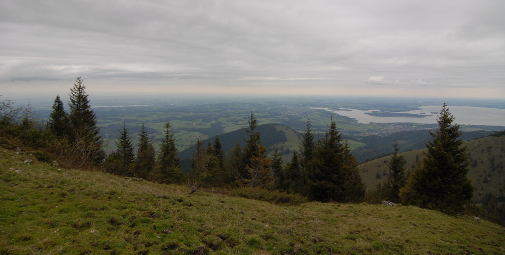 DSC 2400