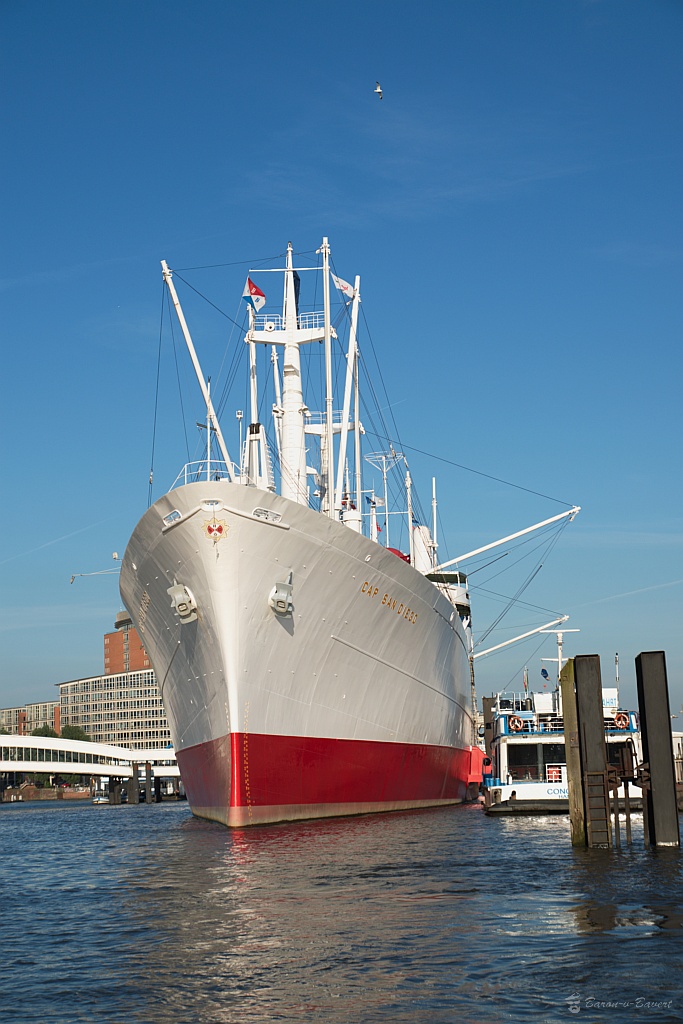 DSC 2401