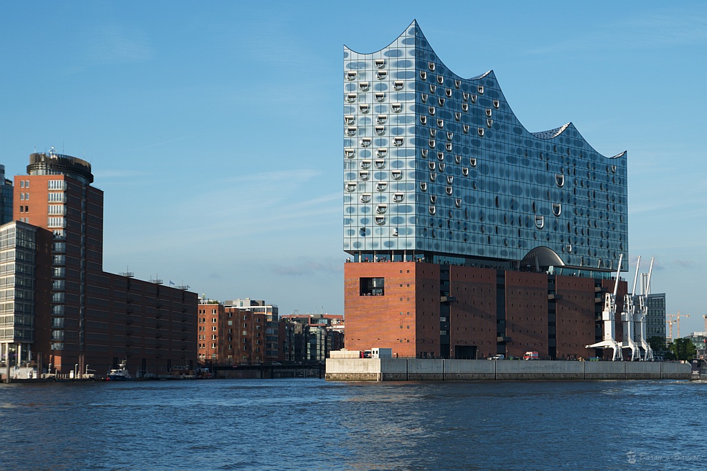 DSC 2424