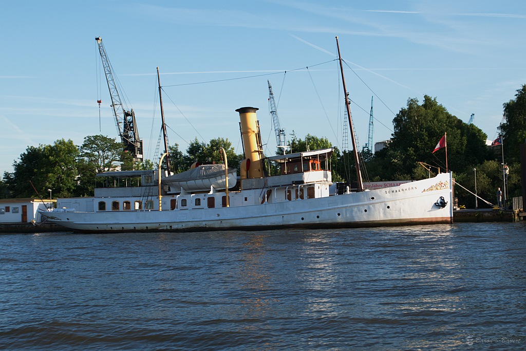 DSC 2425