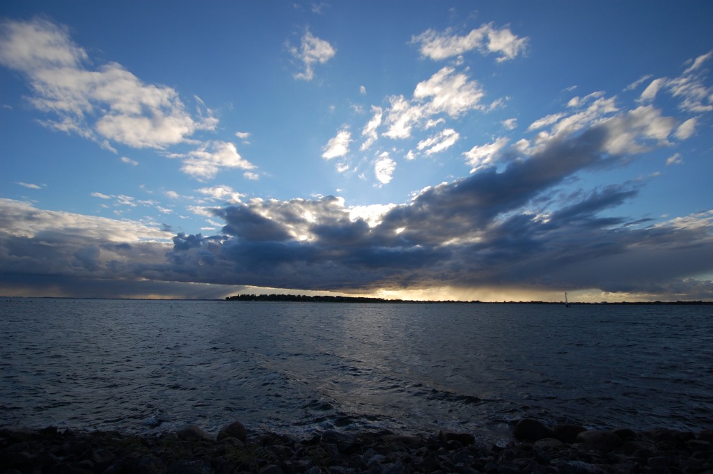 DSC 2460 02