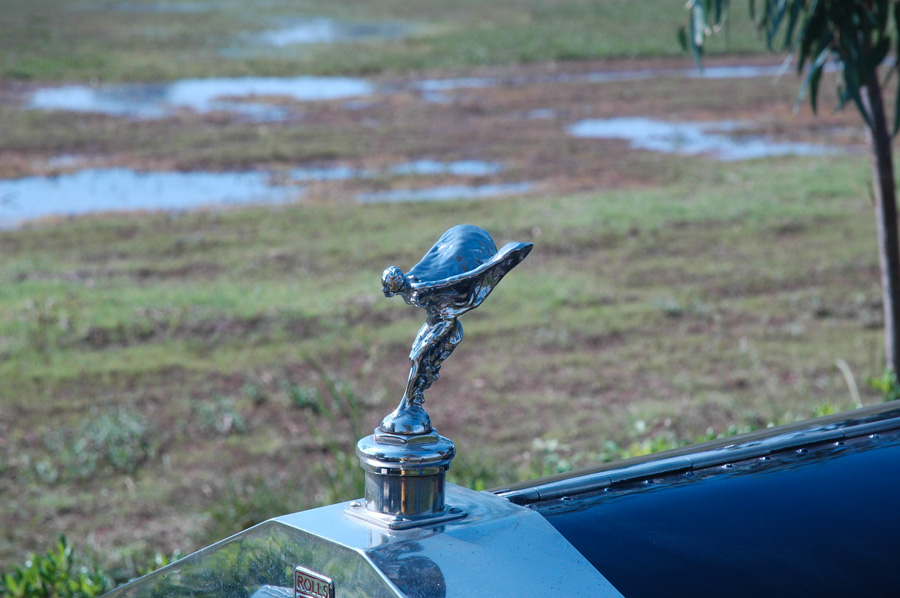 DSC 2495