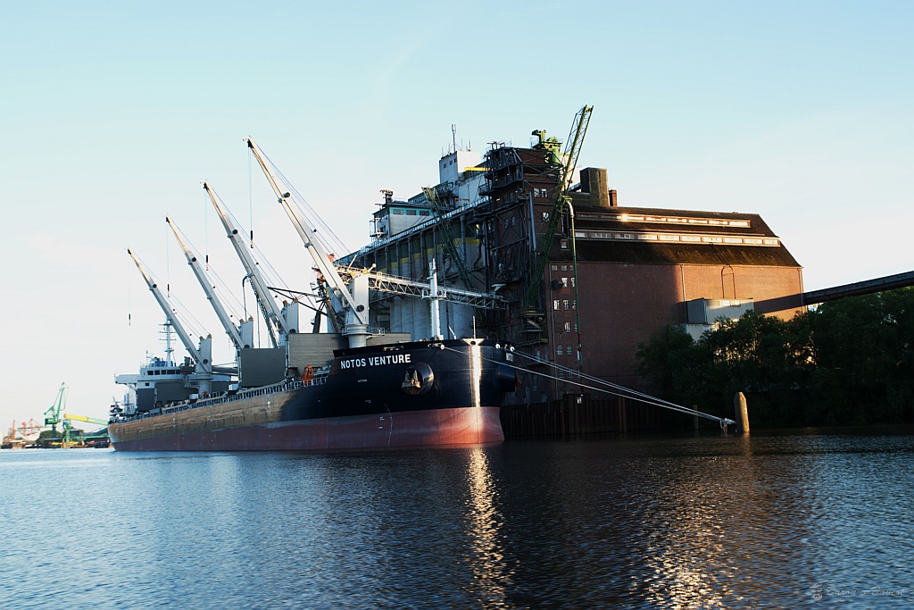 DSC 2503
