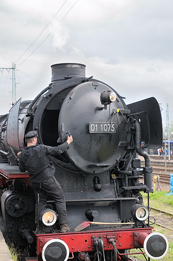 DSC 2516