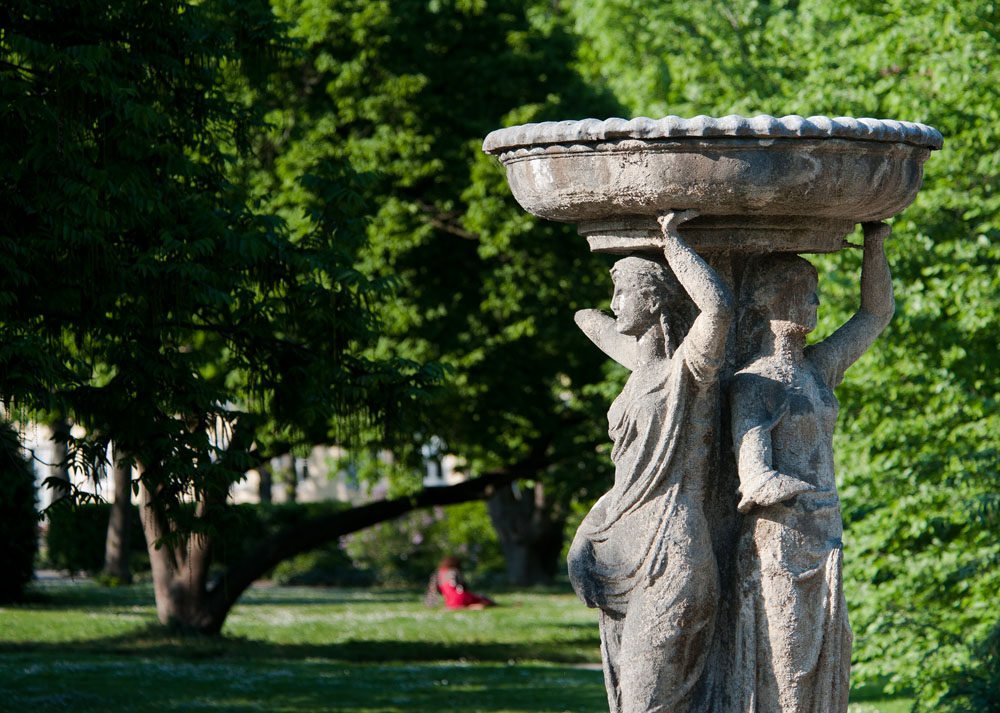 DSC 2518