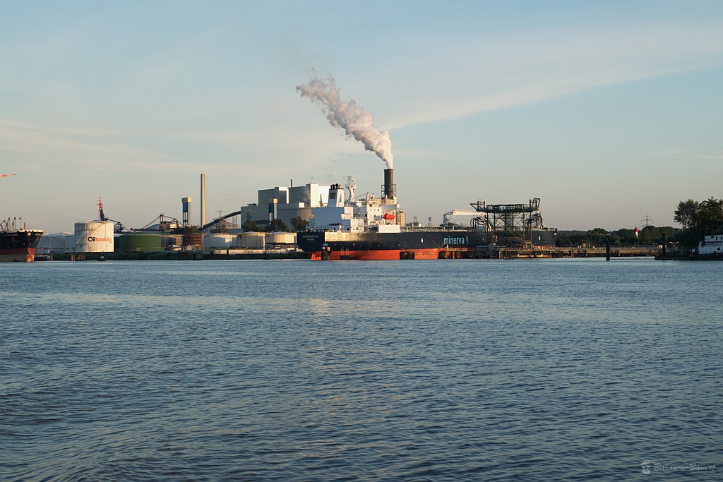 DSC 2530
