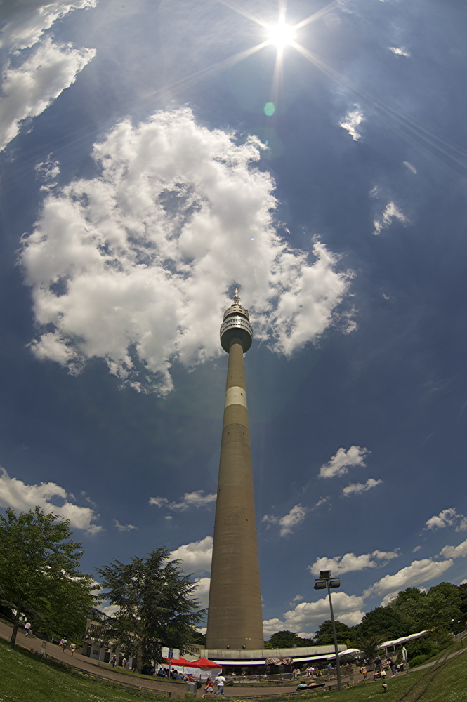 DSC 2540 1000