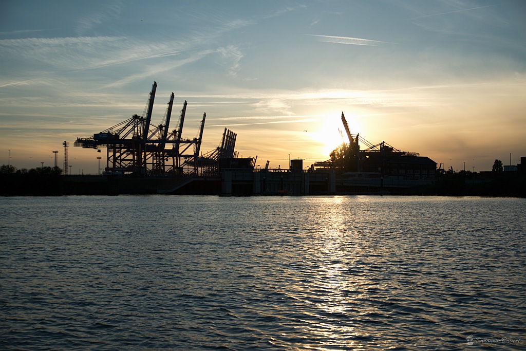 DSC 2552
