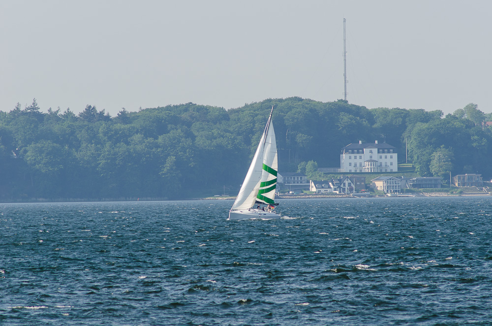DSC 2575