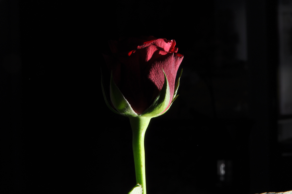 DSC 2588