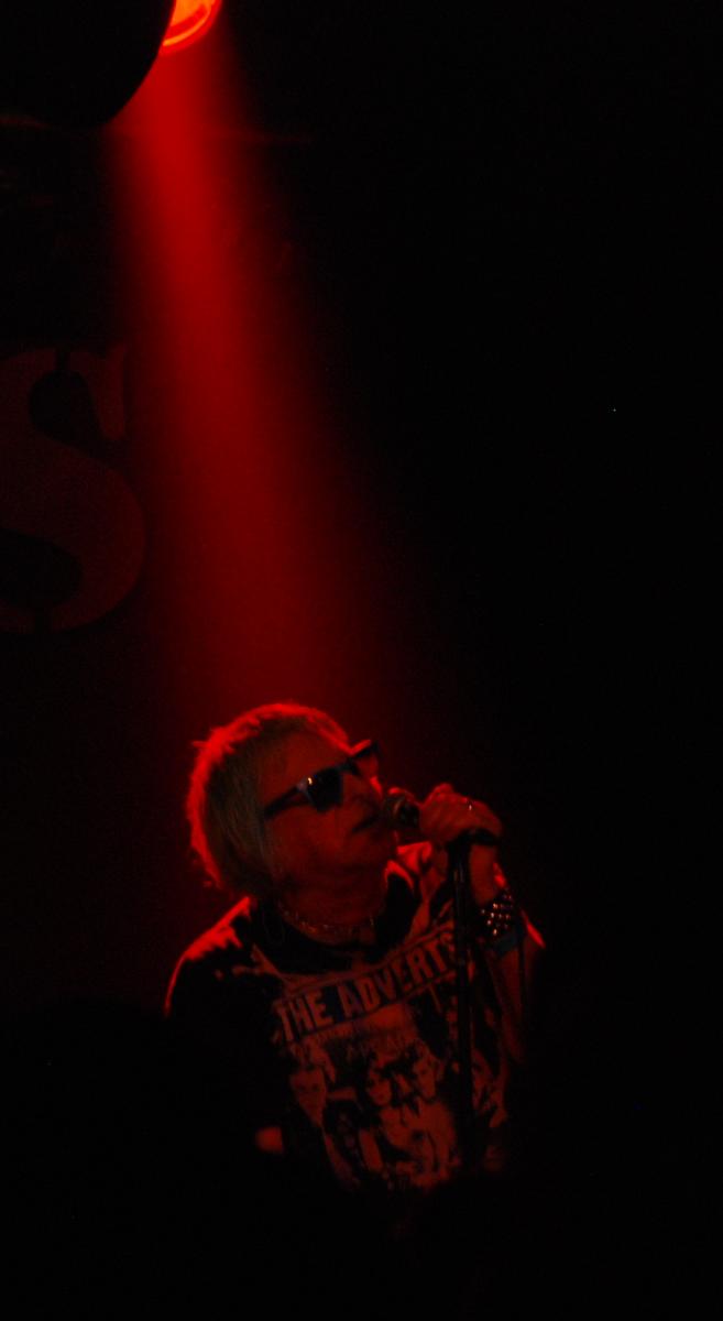 dsc 2611