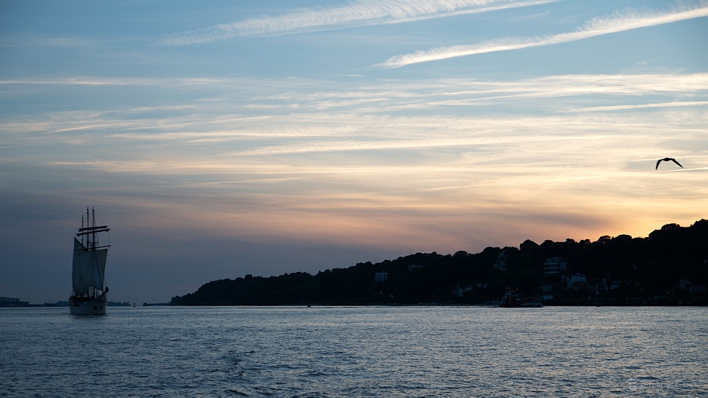 DSC 2625