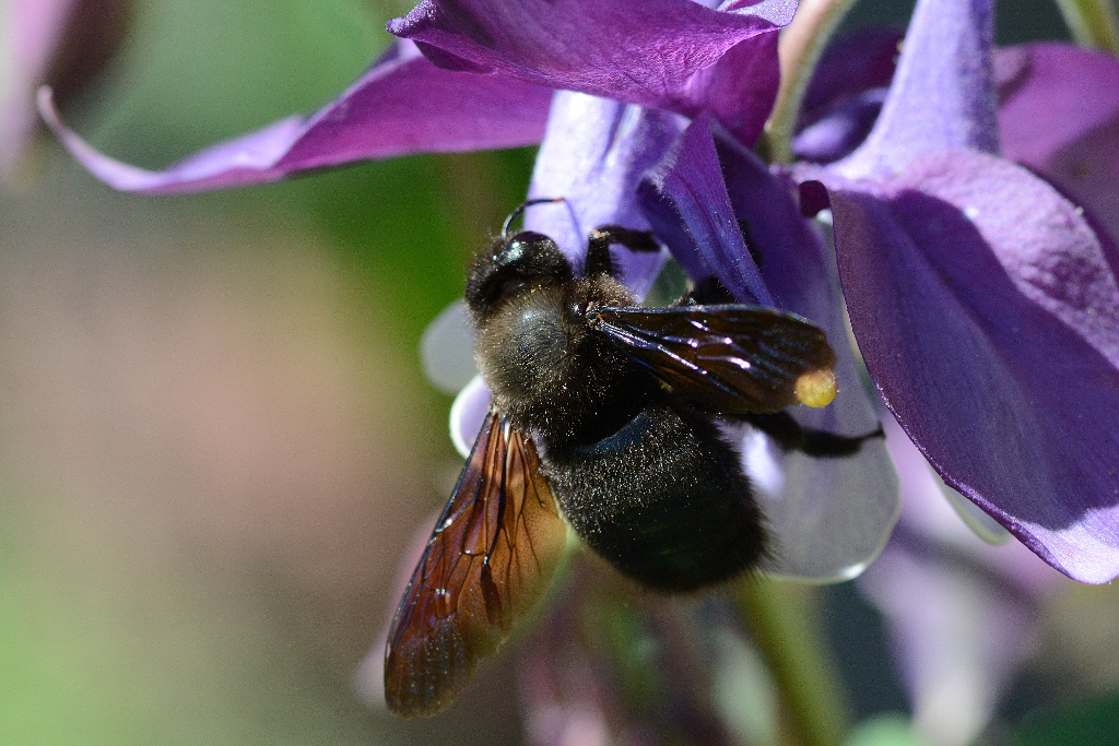 DSC 2800