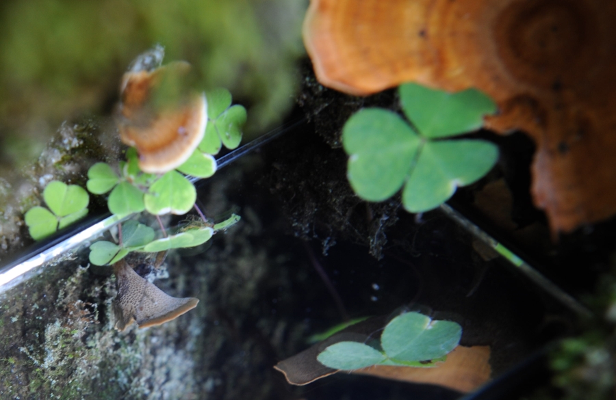 DSC 2808 web