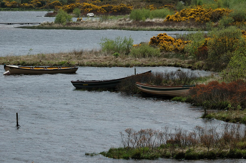 DSC 2812ab