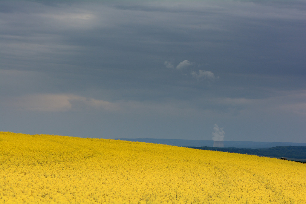DSC 2817cnx 04