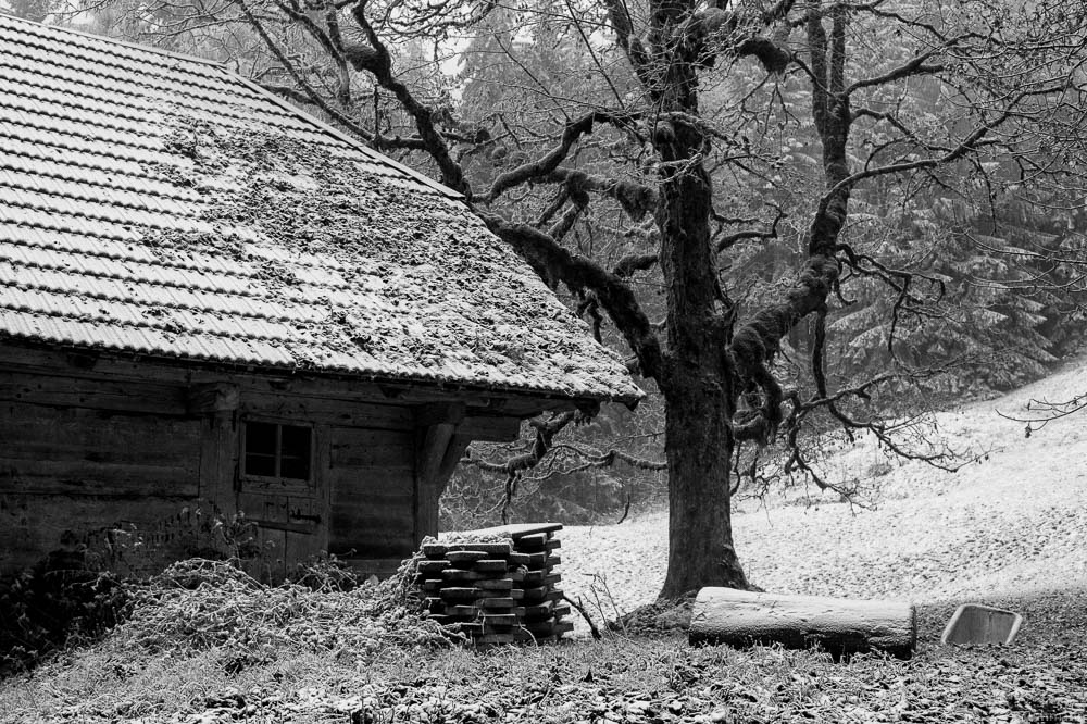DSC 2894 Bearbeitet