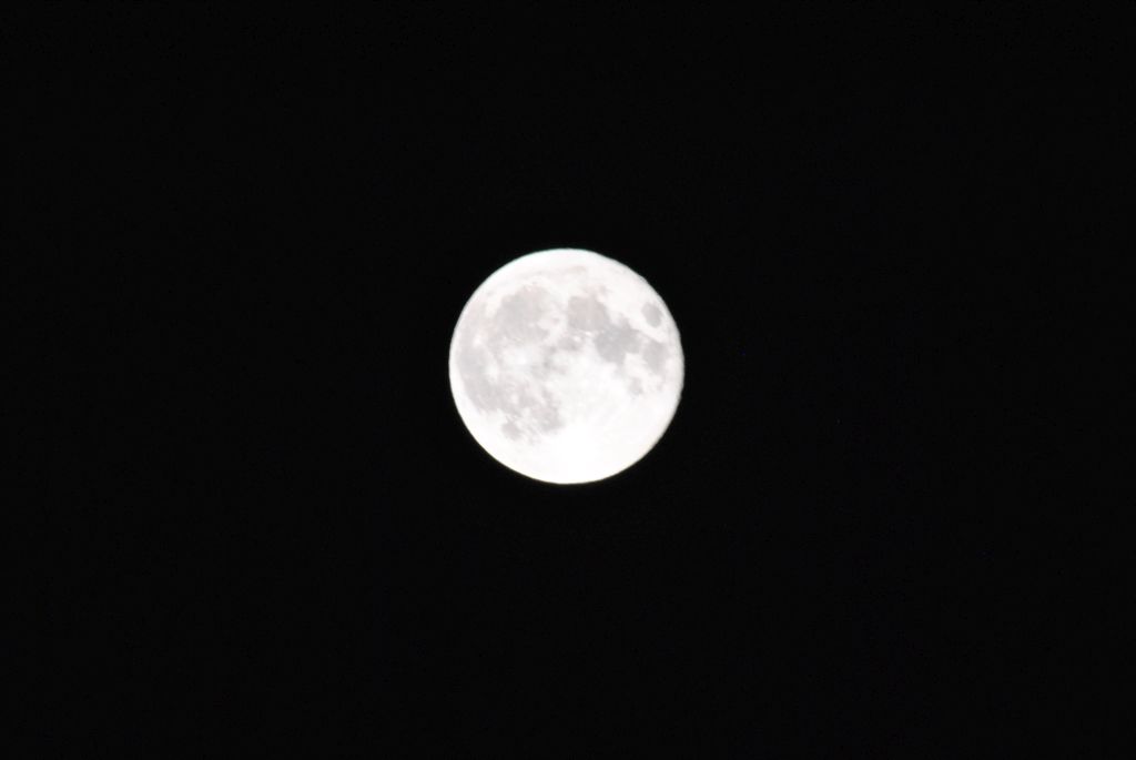 DSC 2941 1024
