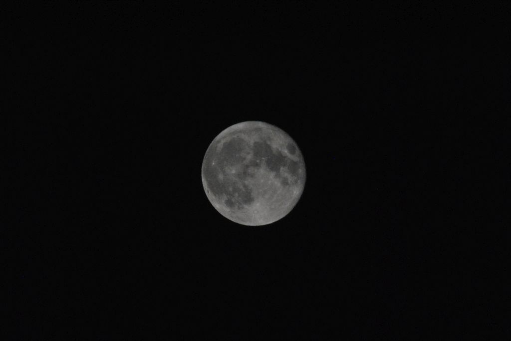 DSC 2946 1024