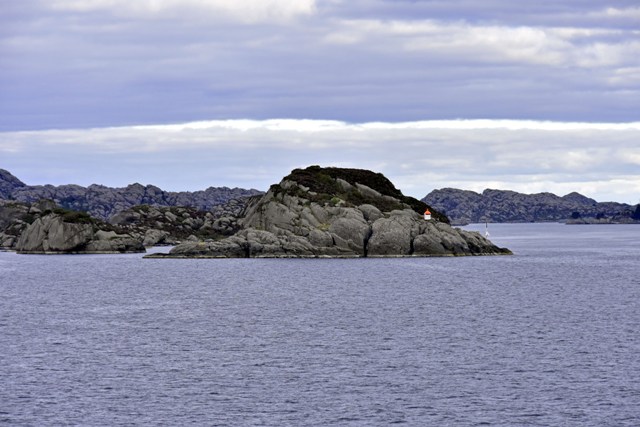 DSC 2949