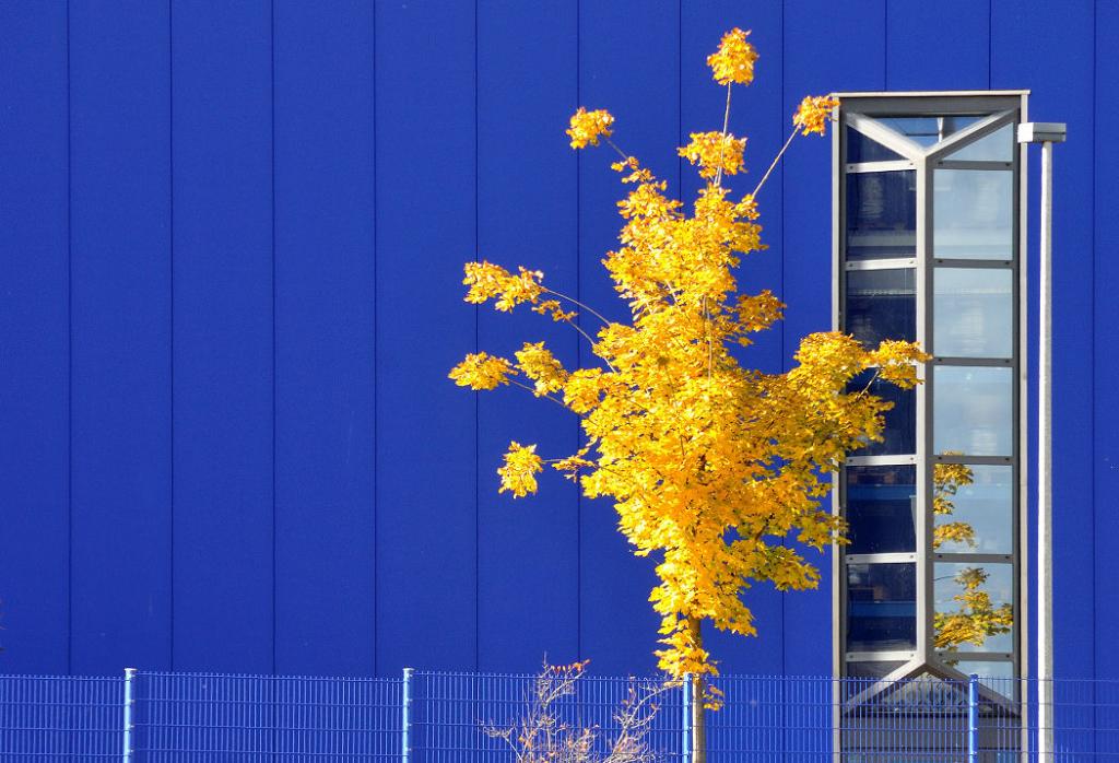 DSC 2952 Blaue Fabrik Forum