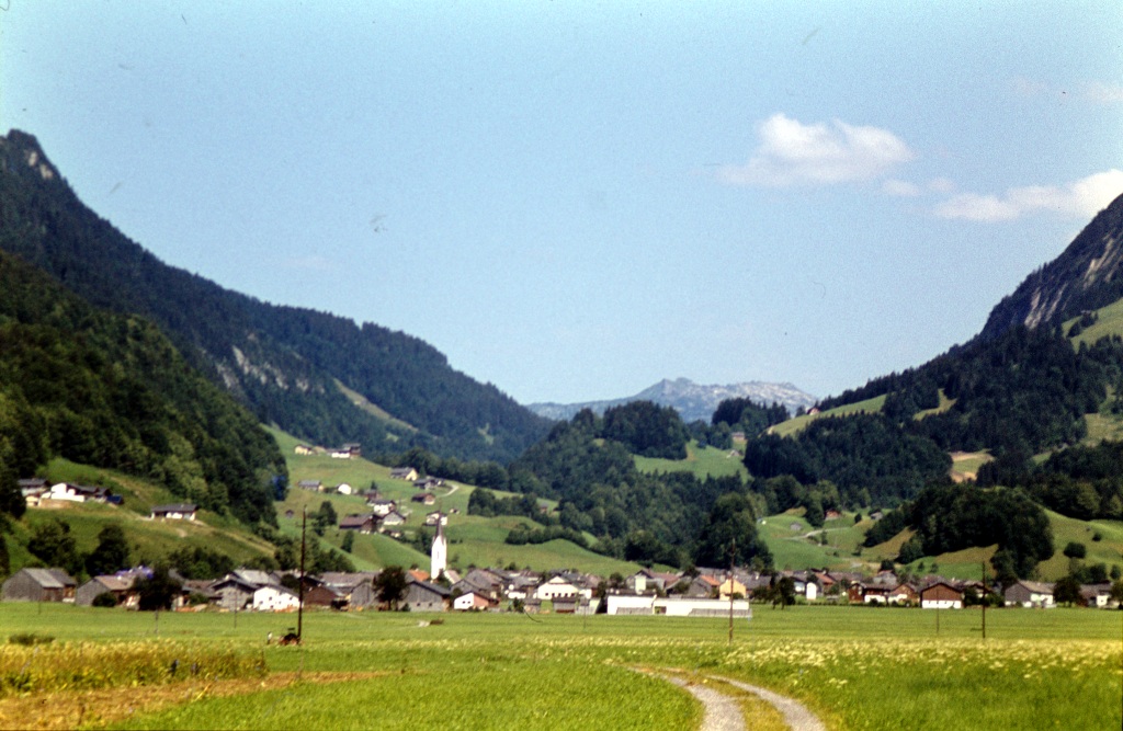 dsc 2995 a