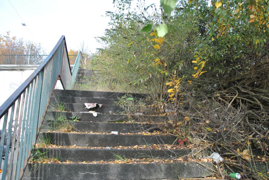 DSC 2998 1024