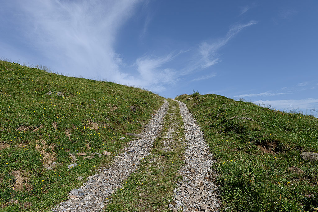 DSC 3057kws