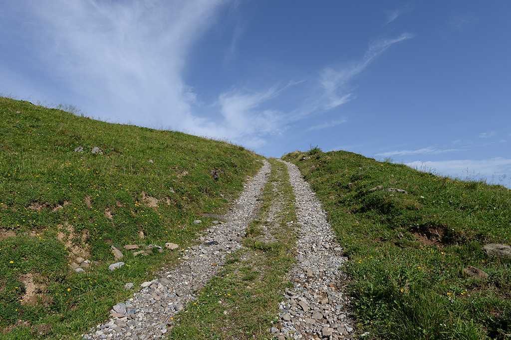 DSC 3057kws2