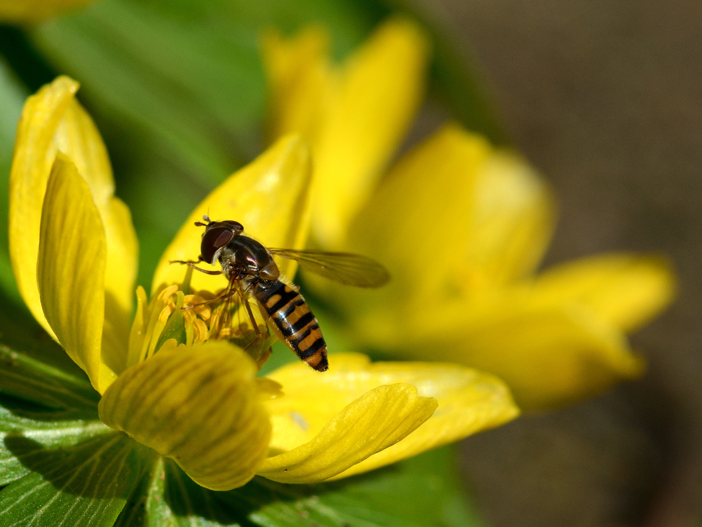 DSC 3069