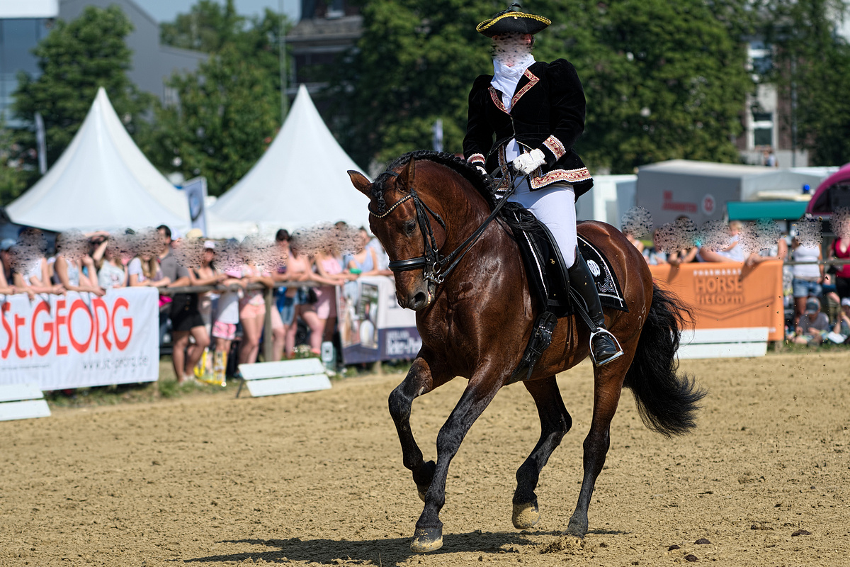DSC 3078 v1k