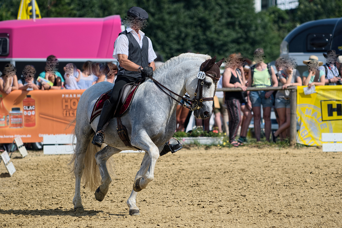 DSC 3087 v1k