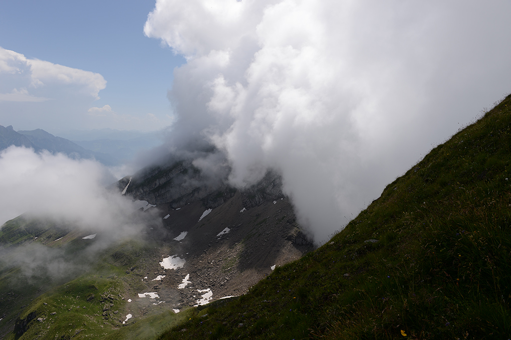 DSC 3095kws