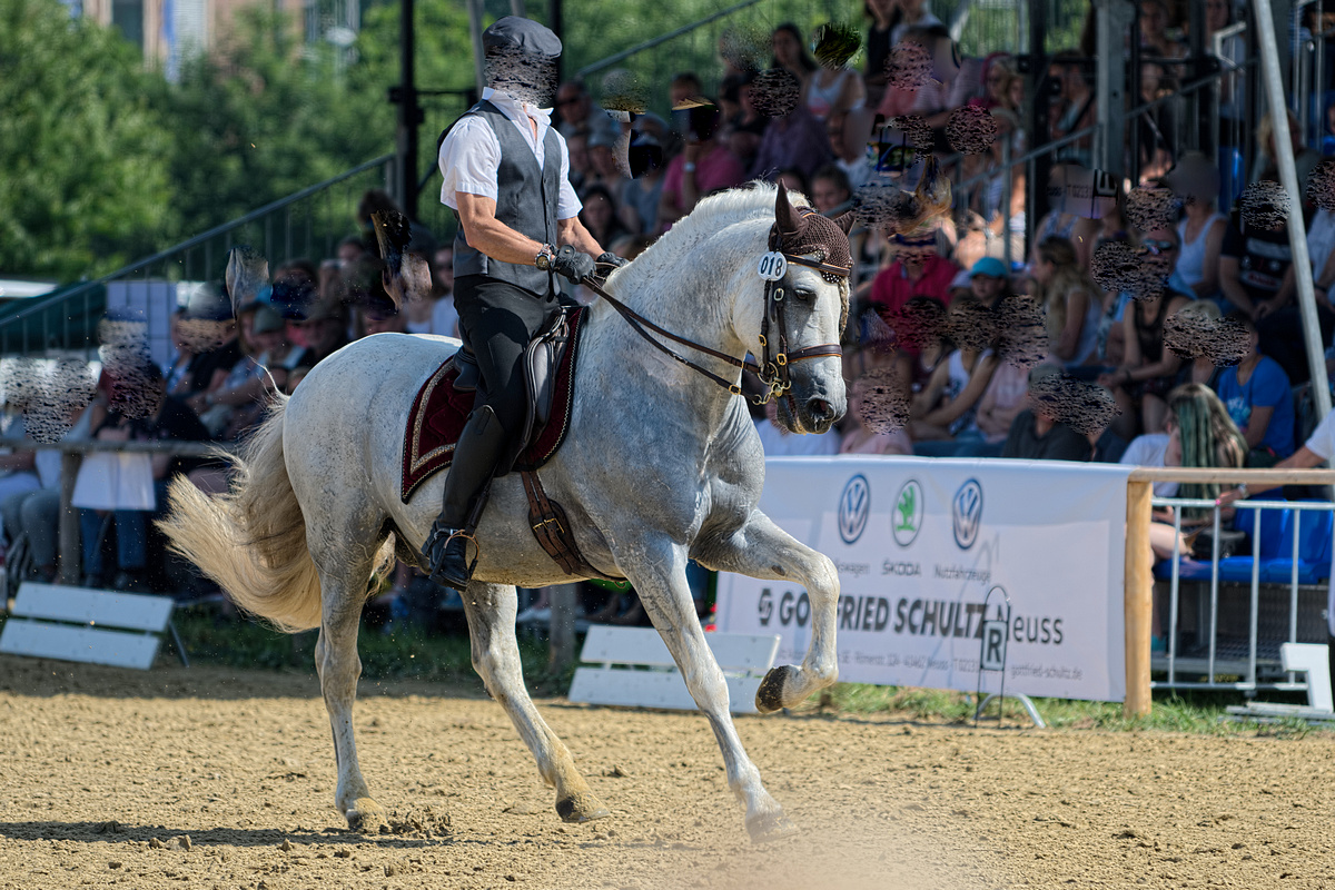 DSC 3099 v1k