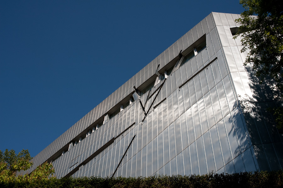 DSC 3111 900