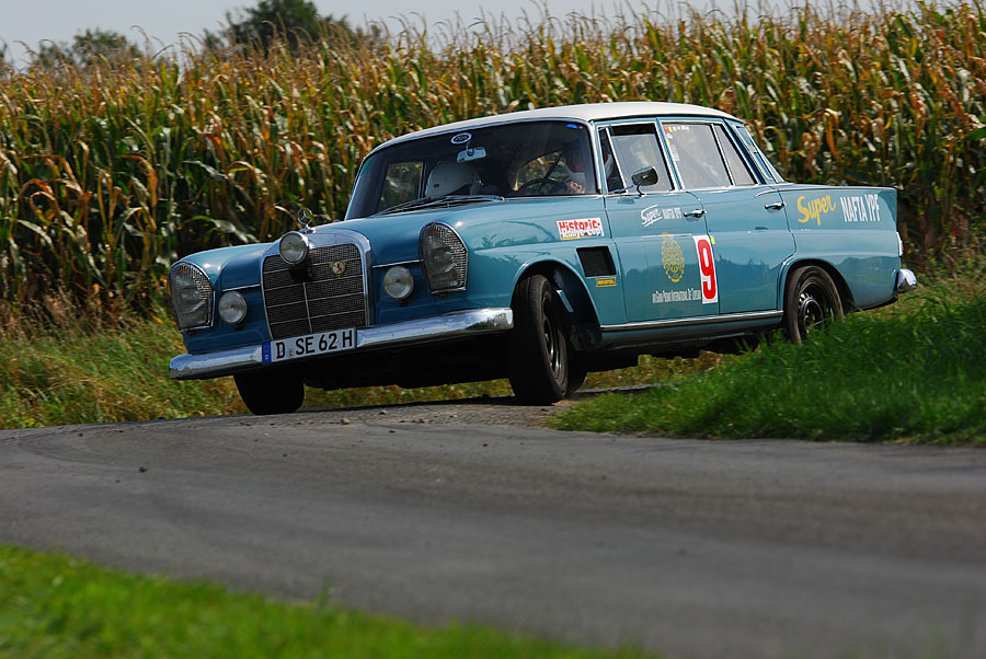 DSC 3113